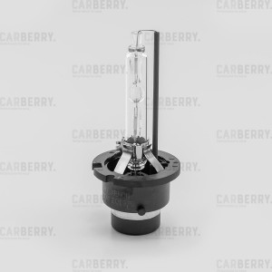 D2S 4300К 33CA2 CARBERRY