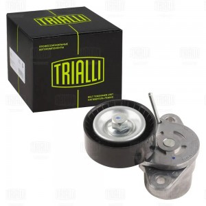 Ролик привод. ремня Geely Atlas (16-) 1.8T (с натяж. мех.) (CM 5673) CM5673 TRIALLI