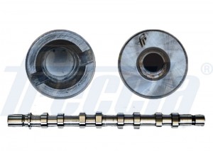 распредвал выпускной!\ Renault Megane II/Scenic/Clio II/Kangoo 1.6 99> CM052184 FRECCIA