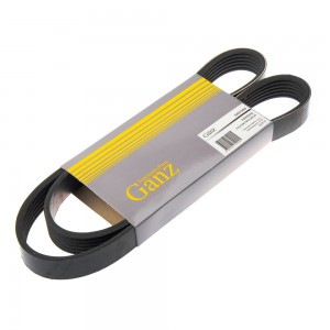 AUDI A3 [8PA]/ VW GOLF V GIE37209 GANZ