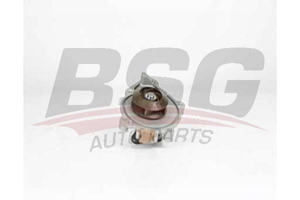 Насос водяной BMW 1 (F20) (N13) MINI (1.4/1.6) PEUGEOT 207,308 CITROEN C3,C4,C5  BSG15500017 BSG
