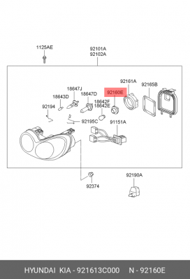 Патрон лампы HYUNDAI Accent KIA Rio (06-) OE 921613C000 HYUNDAI KIA