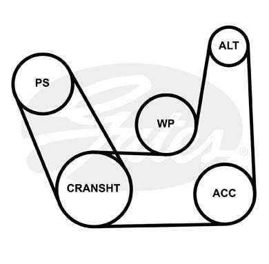 Ремень приводной поликлиновой 6PK1019 GATES 6PK1019SF GATES
