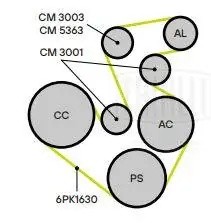 Ролик приводного ремня с натяжным механизмом CHERY TIGGO (06-) 1.6/1.8 CM 3003 TRIALLI