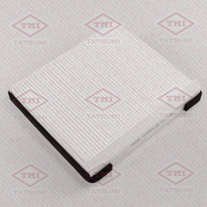 HYUNDAI EQUUS (2009>)/GENESIS (2009>) TBD1105 TATSUMI