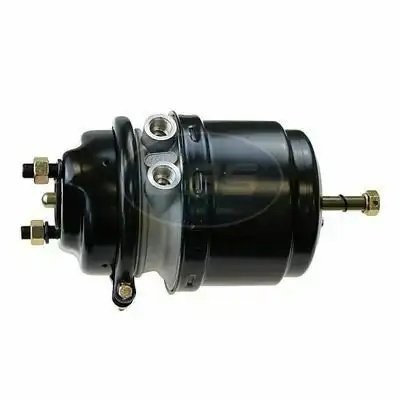 Энергоаккумулятор левый T20/24 BS8426 02062024426 EBS