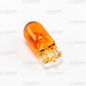 WY5W 12V-5W W2.1x9.5d 32CA4 CARBERRY
