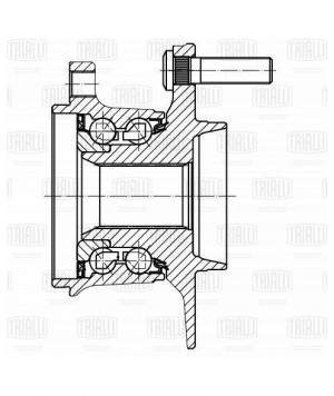 Ступица задняя в сборе с подшипником MR 2586 TRIALLI