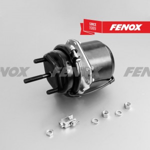 энергоаккумулятор !тип 24/24, шпильки М16x1.5 \МАЗ BCDE24001 FENOX