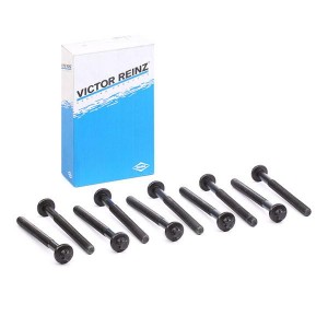 RENAULT CLIO II/SYMBOL (1998-2008) 14-32157-01 VICTOR REINZ