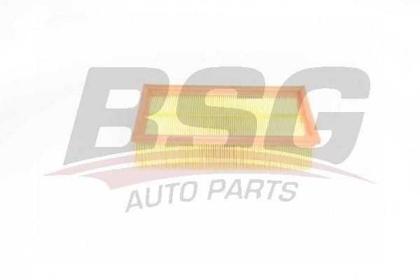 Фильтр воздушный NISSAN Juke (10-),Note (06-12),Tiida (07-) (1.5) BSG BSG75135007 BSG