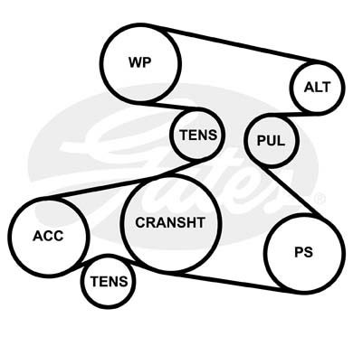 Поликлиновой ремень 5PK1815 (8653-10396) 5-PK-1815 GATES