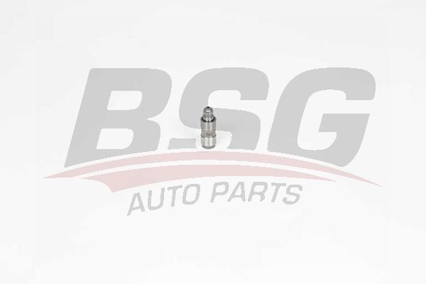 гидрокомпенсатор!\ Audi A2/A3, VW Golf/Lupo/Polo 1.4 16V/1.6FSi 00> BSG90122020 BSG