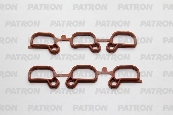 BMW E39/46/38/Z3/E83 M52/52TU/54 PG1-5001 PATRON