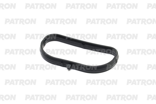 Прокладка впускного коллектора CHRYSLER 3.3 01-05 PG51161 PG51161 PATRON