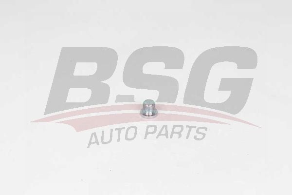 Пробка сливная VW AUDI SEAT SKODA поддона масляного BSG BSG90230011 BSG