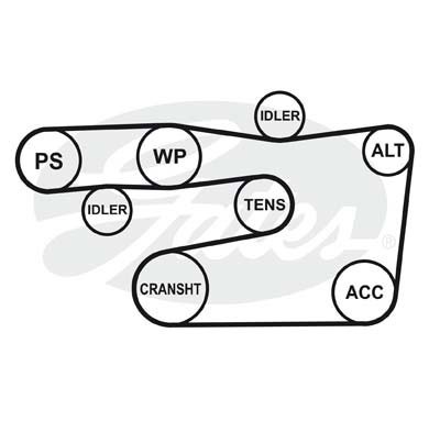 Поликлиновой ремень 7PK2090 (8653-10643) 7-PK-2090 GATES
