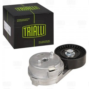 Ролик привод. ремня для а/м ГАЗ Volga Siber/Chrysler Sebring (00-) 2.4i (с натяж CM5758 TRIALLI