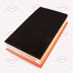 HAVAL JOLION (2021>) TBC1323 TATSUMI