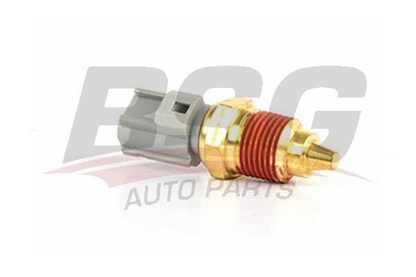 Датчик температуры FORD C-Max,Mondeo BSG BSG 30-840-031 BSG