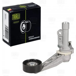 Ролик привод. ремня для а/м Peugeot 308 (07-) 1.4i/1.6i [EP] генер. (с натяж. ме CM5473 TRIALLI