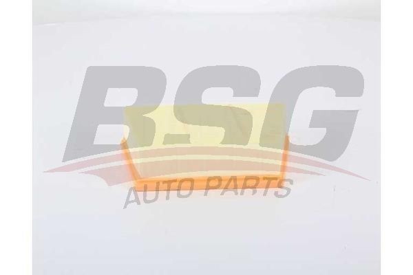 Фильтр воздушный LAND ROVER Discovery BSG BSG15135024 BSG