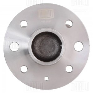 Ступица задн. в сборе с подшип. Chevrolet Lanos 97- ABS+ MR 0587 MR 0587 TRIALLI