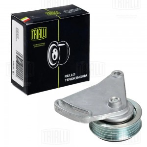 Ролик привод. ремня Audi A4 (94-) 1.6i/1.8i/1.9d (с натяж. мех.) (CM 1838) CM 1838 TRIALLI