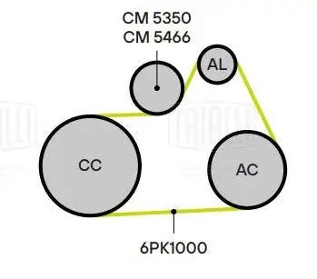 Ролик привод. ремня Peugeot 307 (00-) 1.8i/2.0i/2.2i [EW] (с натяж. мех.) (CM 53 CM 5350 TRIALLI