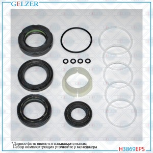 H3869EPS Ремкомплект рулевого механизма Hyundai Grandeur H3869EPS GELZER