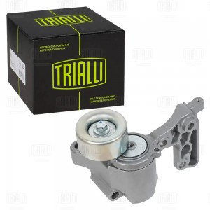 Ролик привод. ремня Toyota LC Prado (02-) 4.0i [1GR] (с натяж. мех.) (CM 5162) CM 5162 TRIALLI