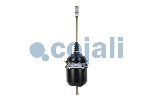 Энергоаккумулятор (кулачковый тормоз) TYPE20/24 аналог Wabco 9253201590 2251400 COJALI