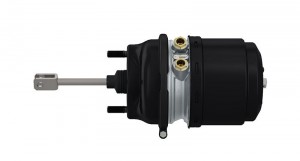 Энергоаккумулятор Type 30/30, (Stroke 65/65) 925 492 221 0 WABCO