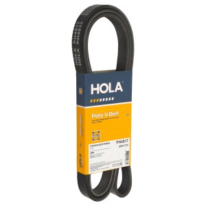 FORD FIESTA /MERCEDES BENZ W202 VAZ LADA LARGUS (2012>) CHEVROLET NIVA (2002-202 PH4917 HOLA