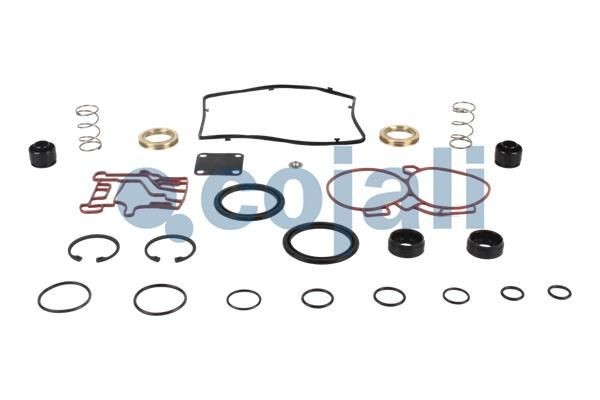 Р/к модуля EBS (пружины, прокладки, уплот кольца, стопорные кольца, втулки) 6012297 COJALI