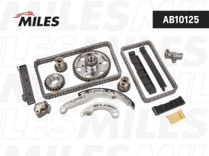 Комплект цепи ГРМ NISSAN NAVARA YD25DDTi 02-08 со звездочками  (INA 553 0098 10) AB10125 MILES