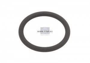 Кольцо FH12 24*3 FOR DT2.11088 2.11072 DIESEL TECHNIC