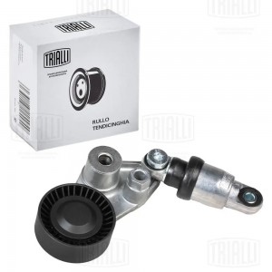 Ролик приводного ремня [с натяж.мех.] CMS 1701 TRIALLI