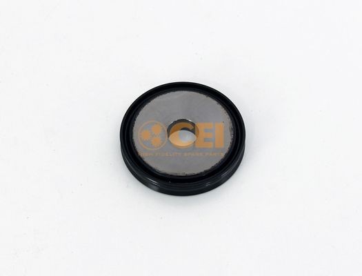 Поршень цилиндра включения КПП DAF/MAN 189718 CEI