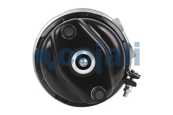 Энергоаккумулятор 24/30 Scania аналог Knorr K017119N00 2351304 COJALI