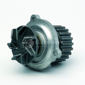 ZAZ CHANCE (2002>) LWP0410 LUZAR