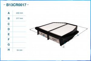 Фильтр воздушный B13CR0017 B13CR0017 CWORKS