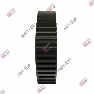 Шестерня первичного вала КПП 9JS/9JSD Тонар, Foton, DongFeng, Camc, Beifang Benc JS180-1701031 SHAFT