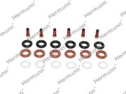РЕМКОМПЛЕКТ НА 6 ФОРСУНОК HRA1120780149KIT HRA1120780149KIT HERMANN