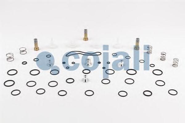 РМК платы клапанов 6014059 COJALI