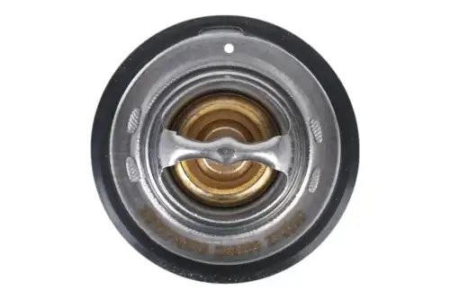 термостат! с прокладкой Daewoo Lanos/Nexia/Espero 1.4-1.8 95> Z45556 ZENTPARTS