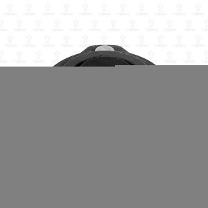 FORD FIESTA / FUSION / MAZDA2 (2003-2006) ОПОРА + ПОДШИПНИК DL0308 TORR