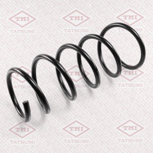 Пружина задняя RENAULT Duster AWD 10- TAE1030 TAE1030 TATSUMI