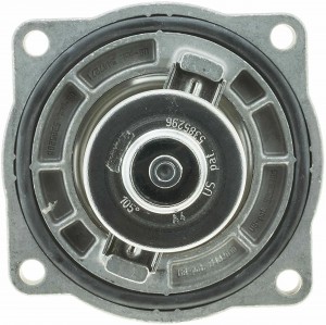 Термостат TH32205G1 GATES