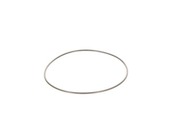 Кольцо уплотнительное RENAULT ТНВД BOSCH 2440210044 BOSCH